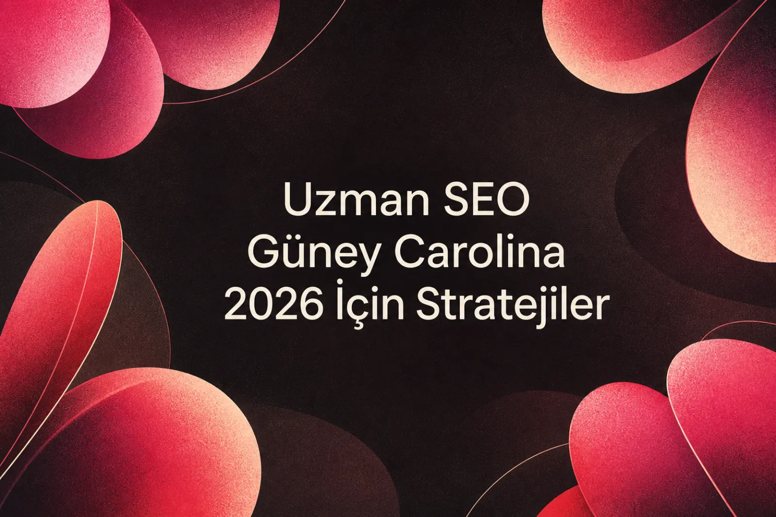 2026 Güney Karolina SEO stratejileri