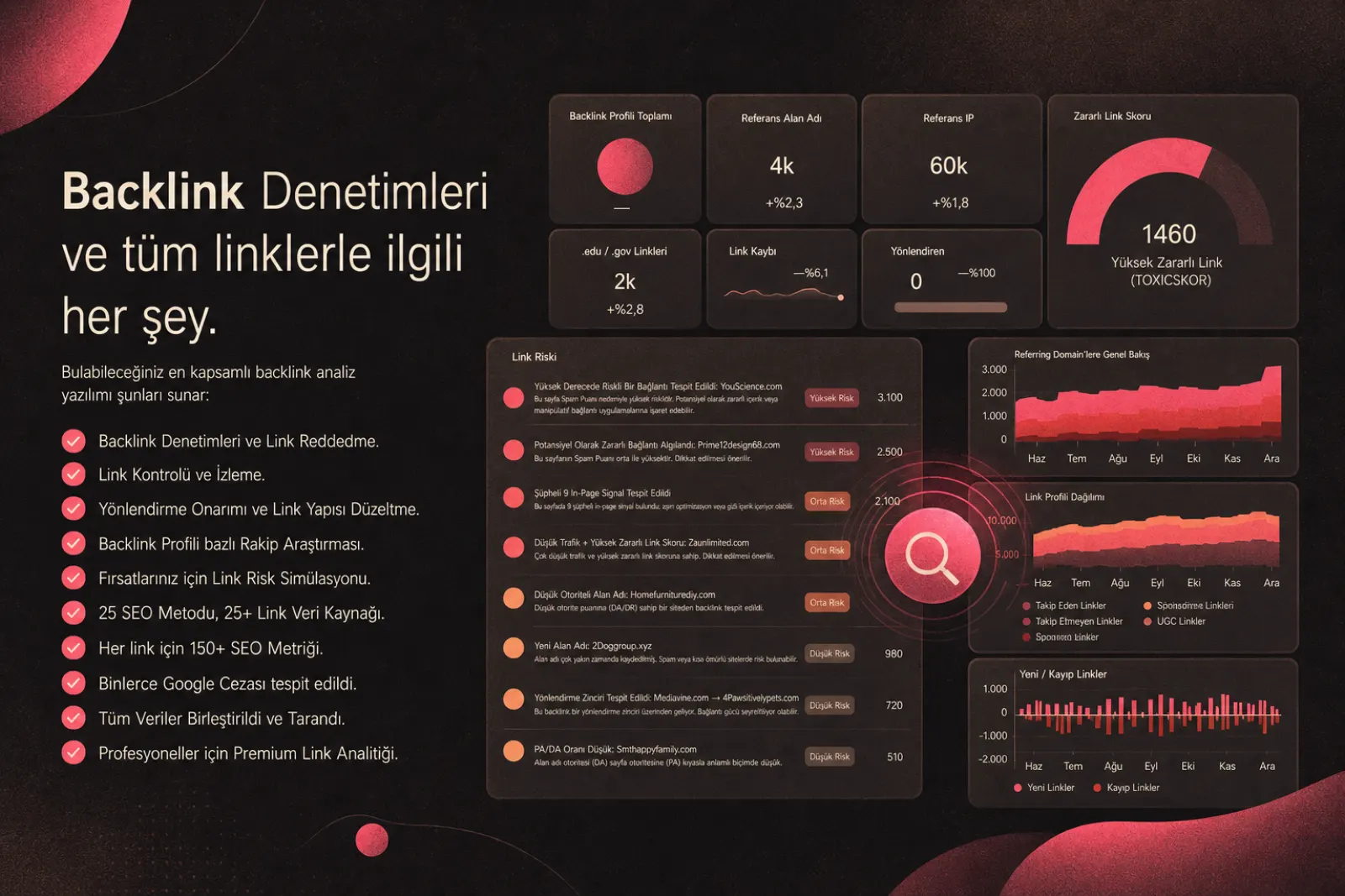 LinkResearchTools gösterge tablosu