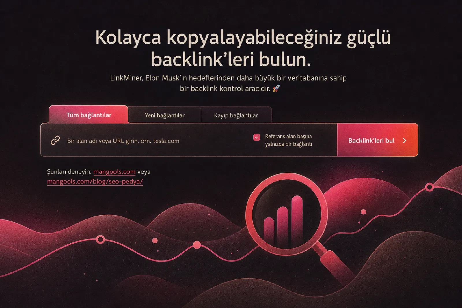Mangools LinkMiner arayüzü